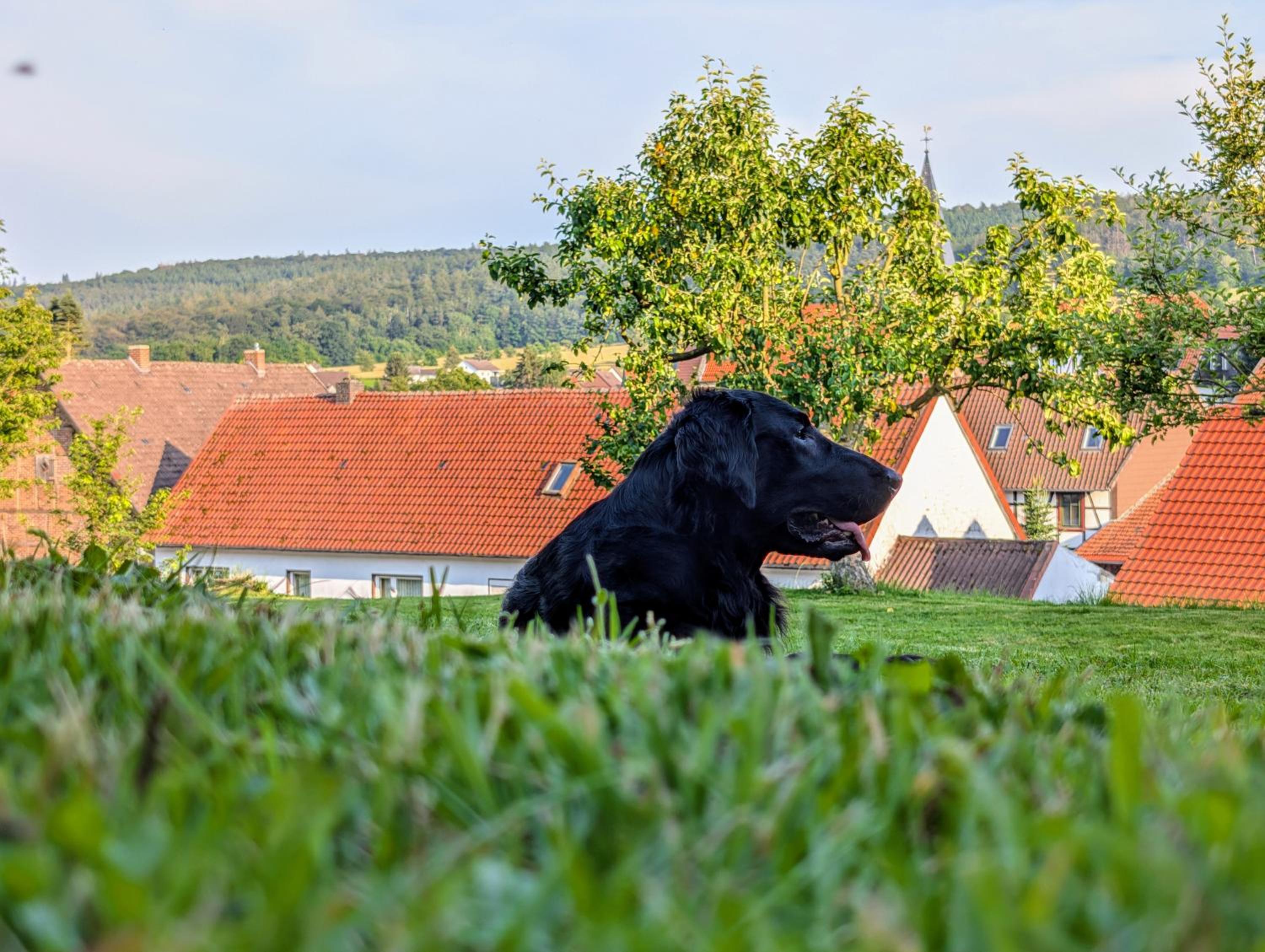 Hof am Lichtenberg