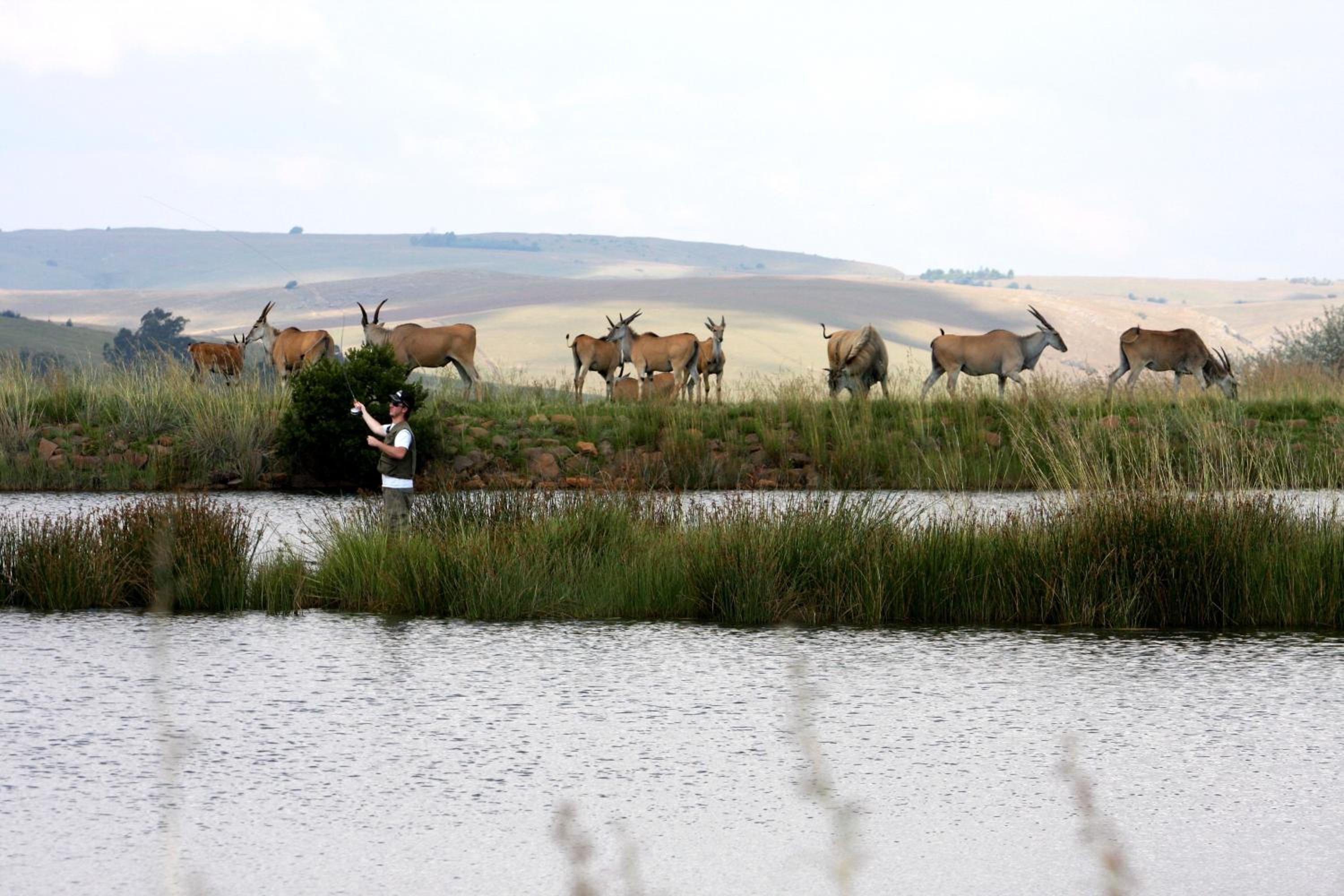 Elandskloof Trout Farm view 4