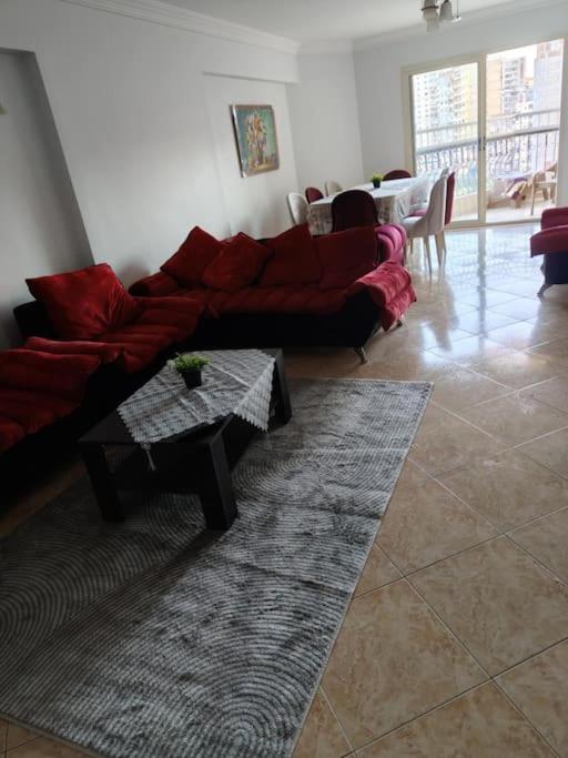 Newly Furnished Apt in Alex