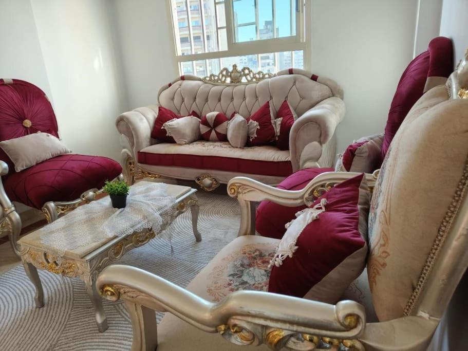 Newly Furnished Apt in Alex