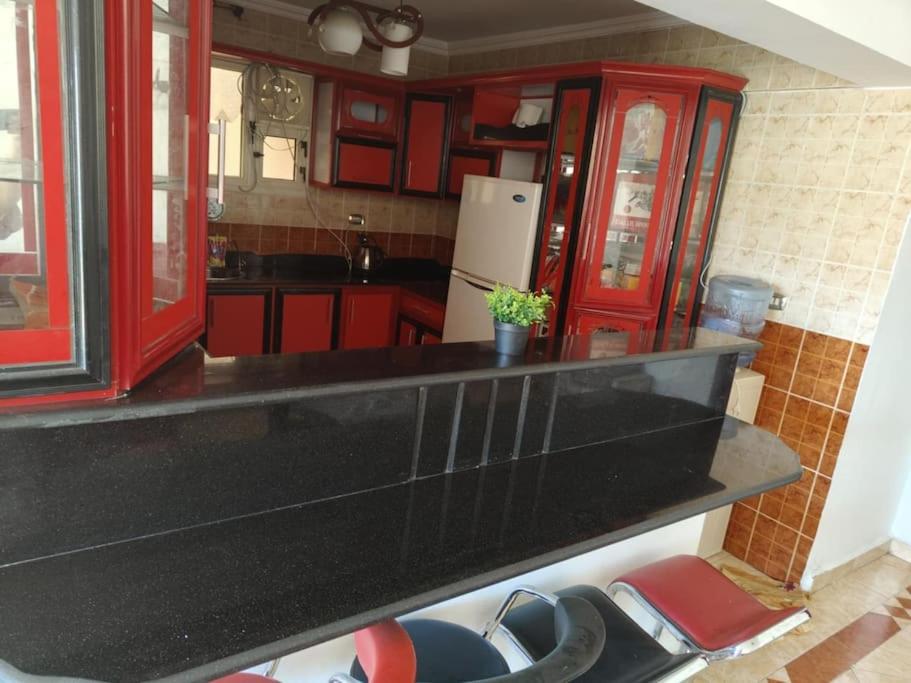 Newly Furnished Apt in Alex