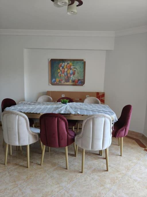 Newly Furnished Apt in Alex