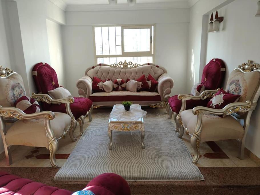 Newly Furnished Apt in Alex