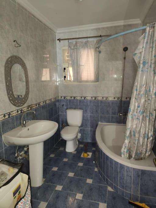 Newly Furnished Apt in Alex