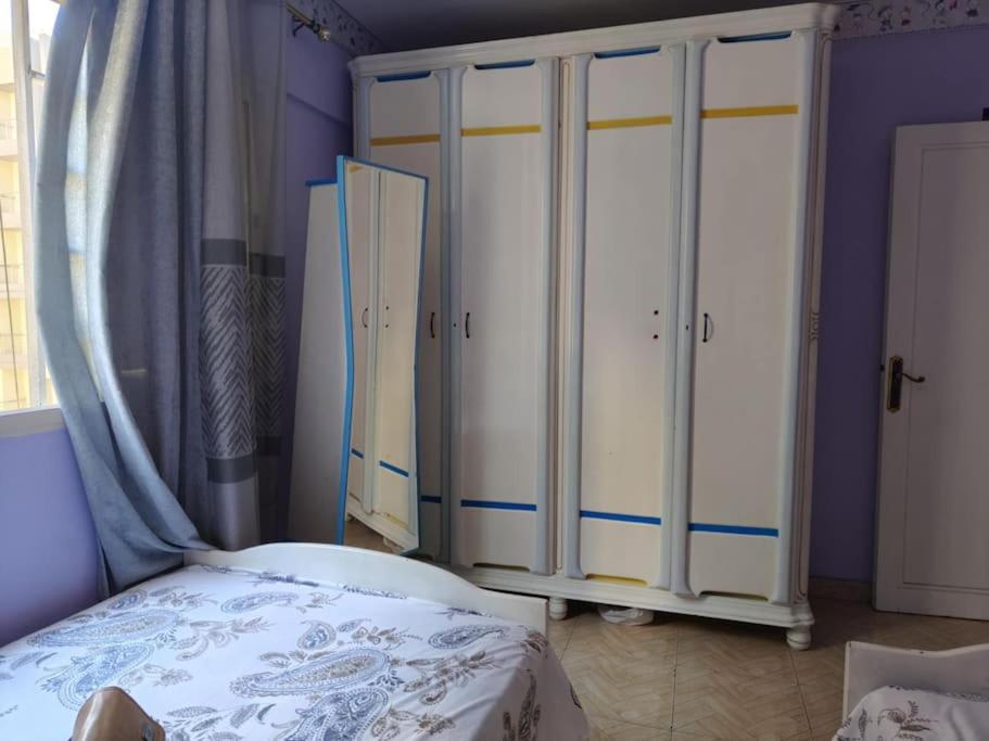 Newly Furnished Apt in Alex