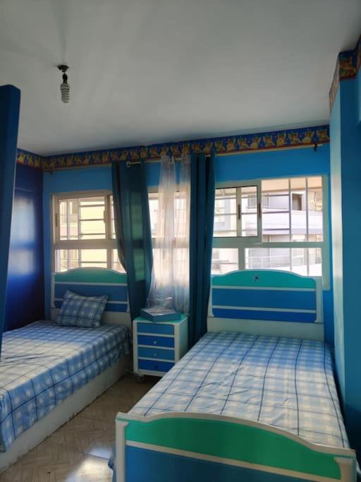 Newly Furnished Apt in Alex