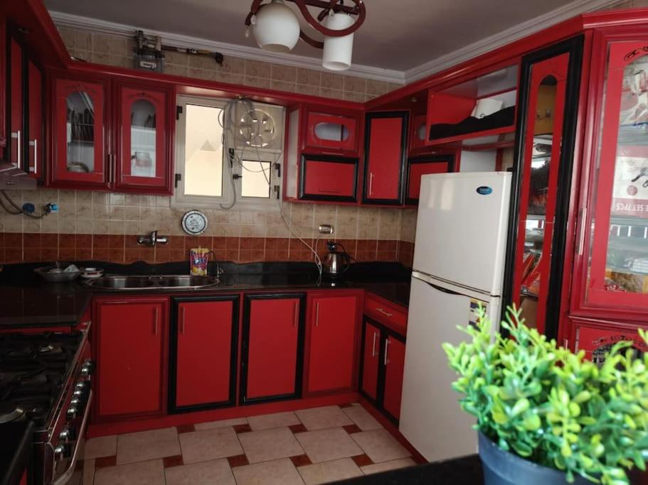 Newly Furnished Apt in Alex