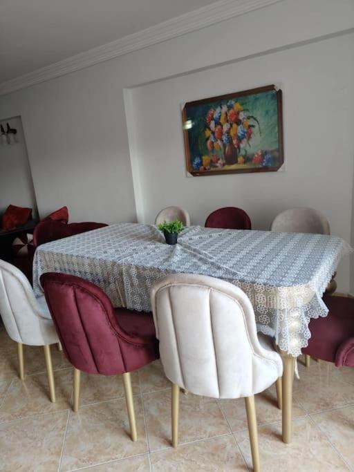 Newly Furnished Apt in Alex