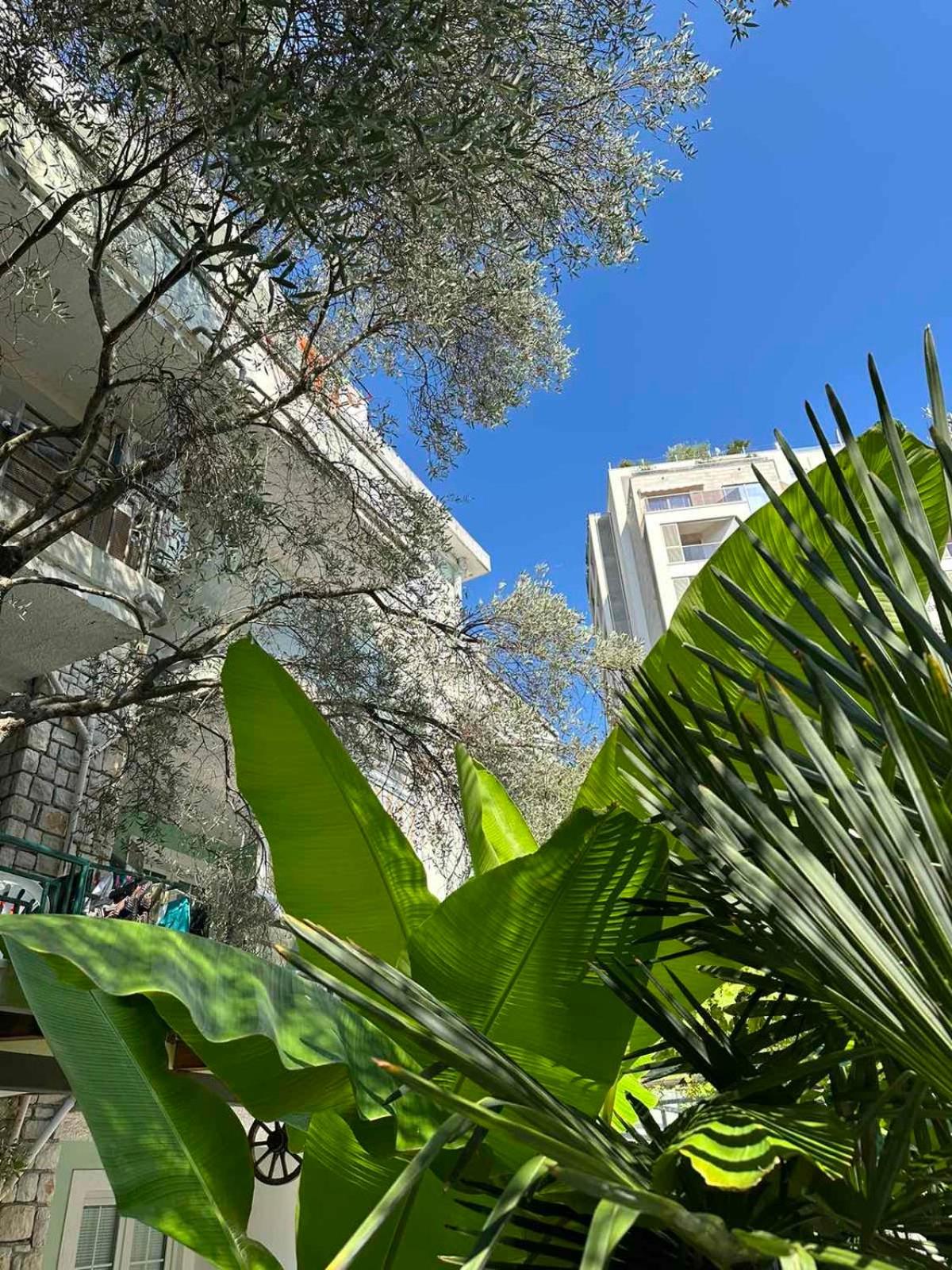 Apartment Oliva, Rafailovici view 3