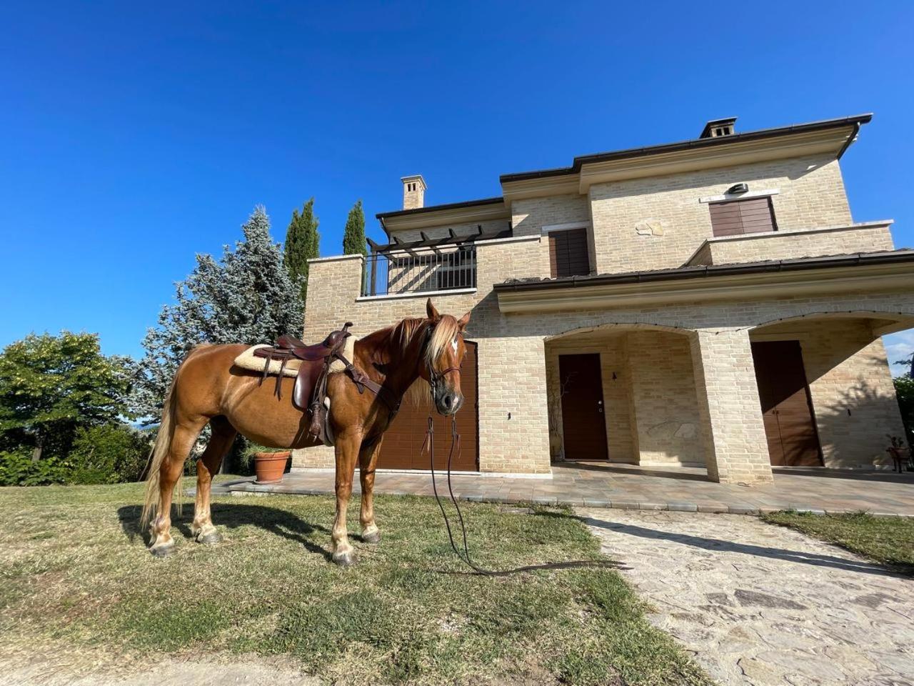 Villa Azzurra view 5