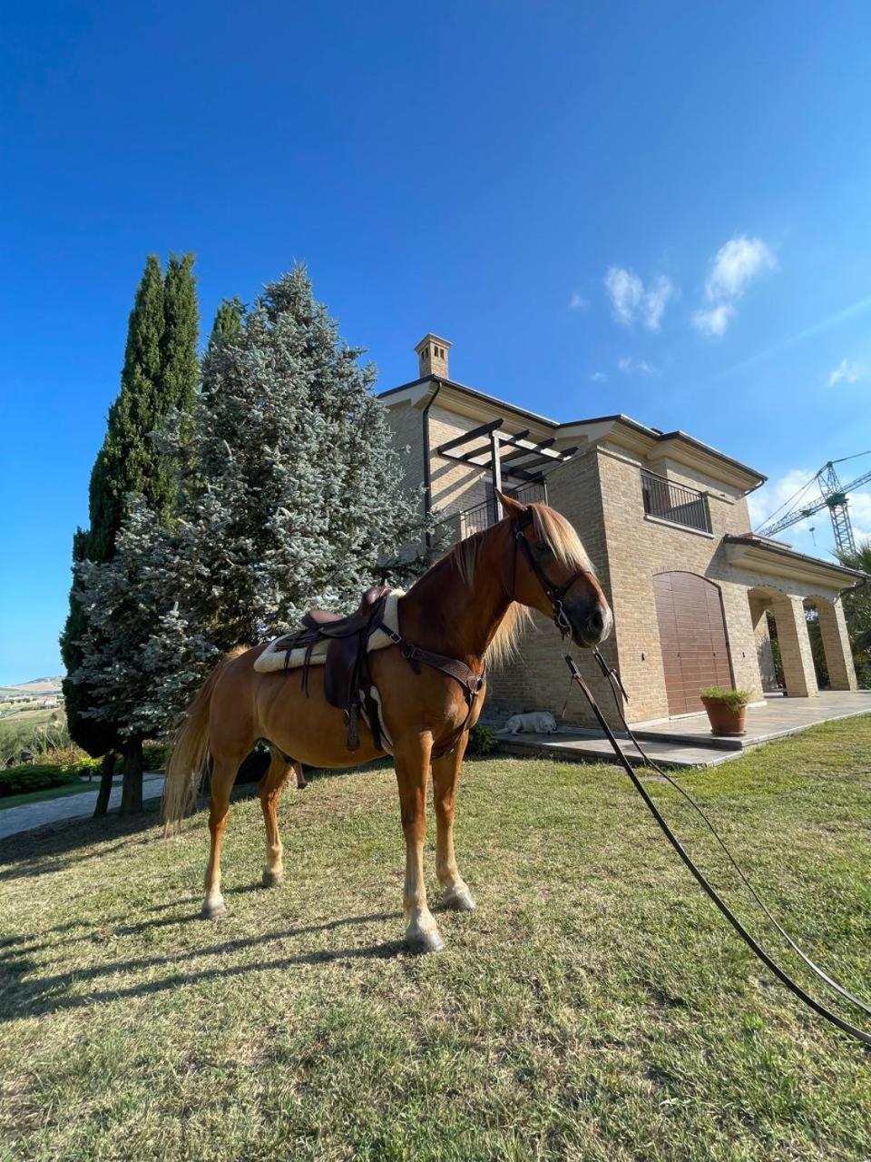 Villa Azzurra view 3