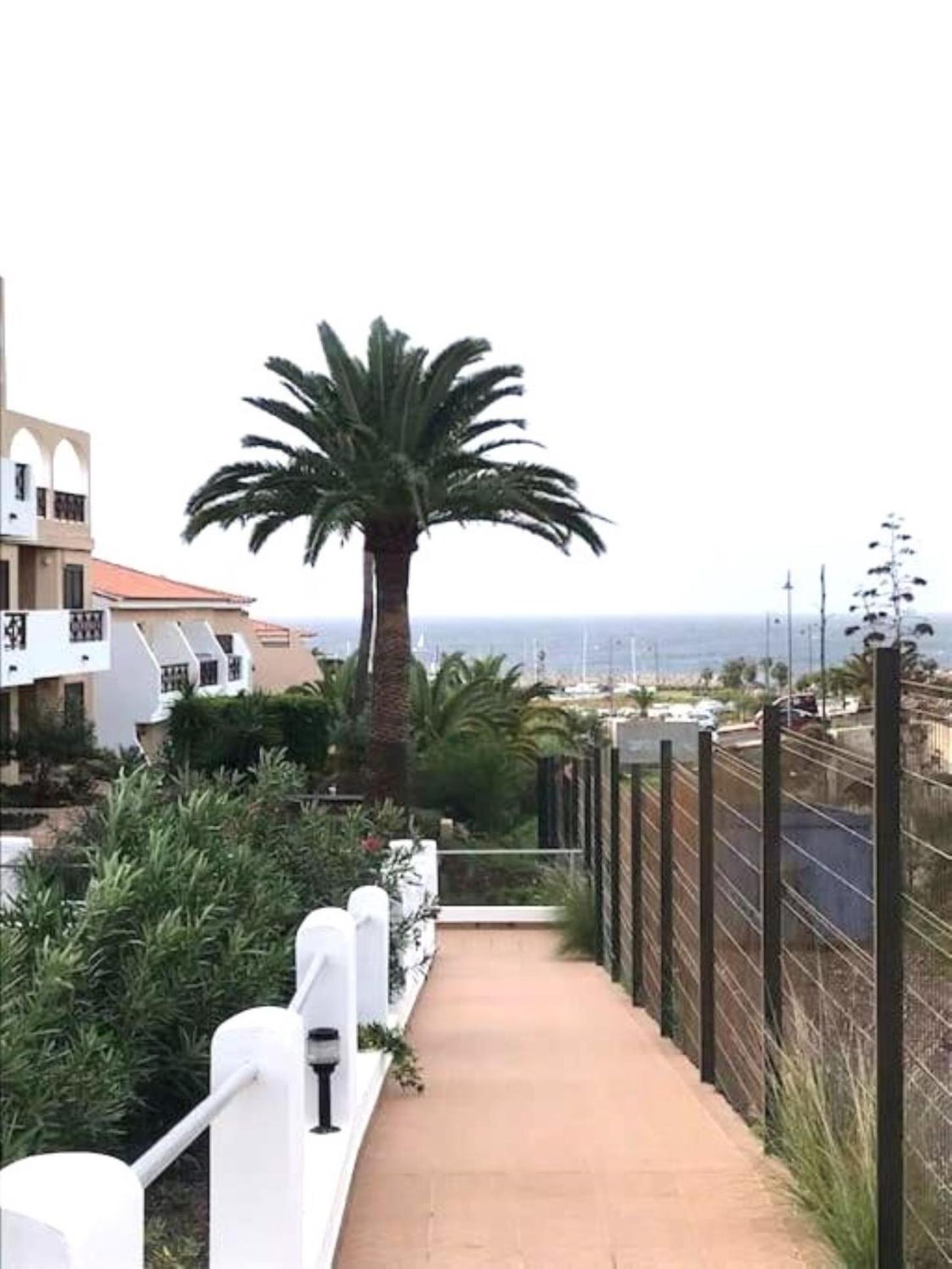 Albatros Sunny Relax