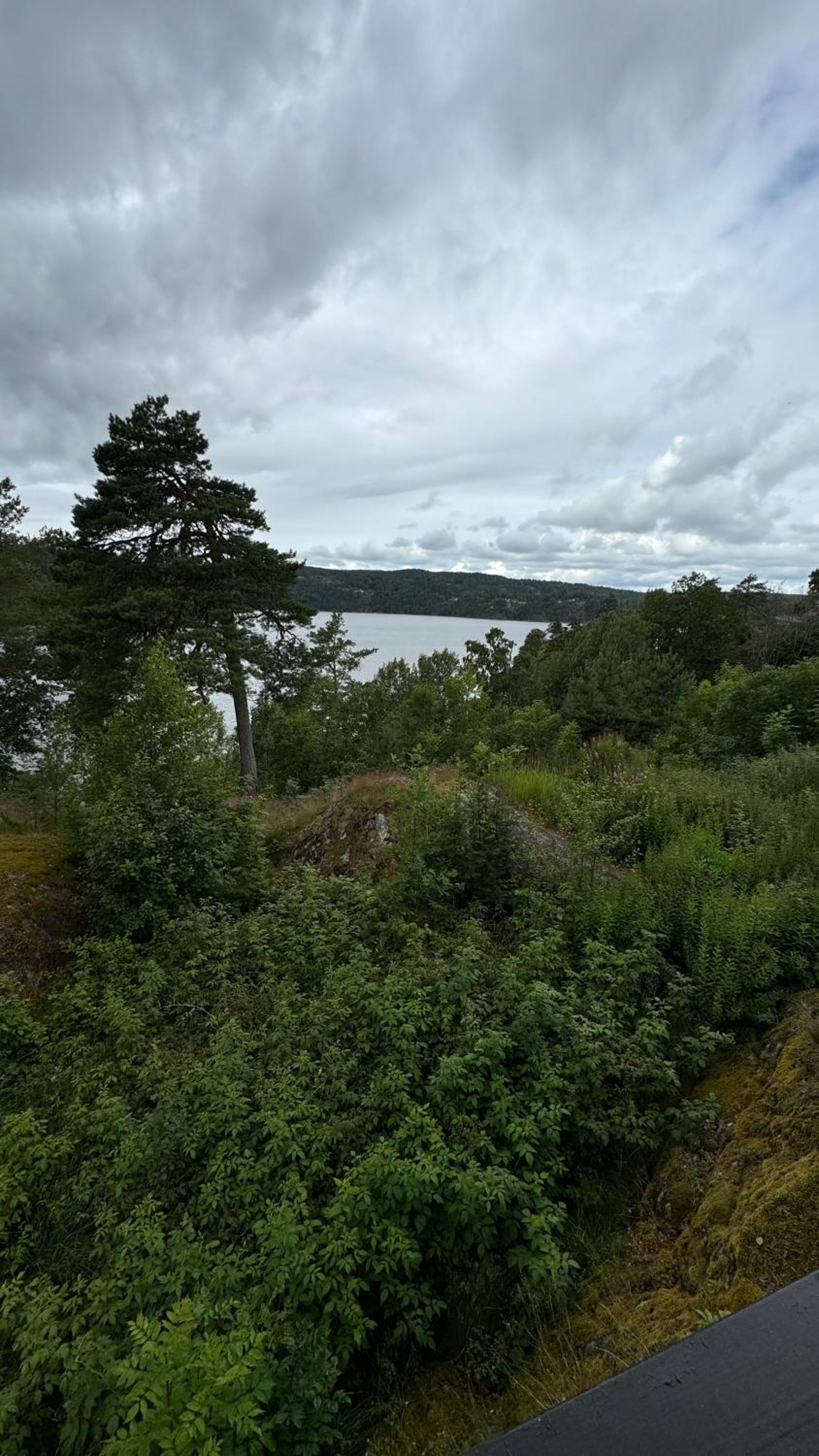 Kunstnerhytte med panoramautsikt på Furuholmen view 2