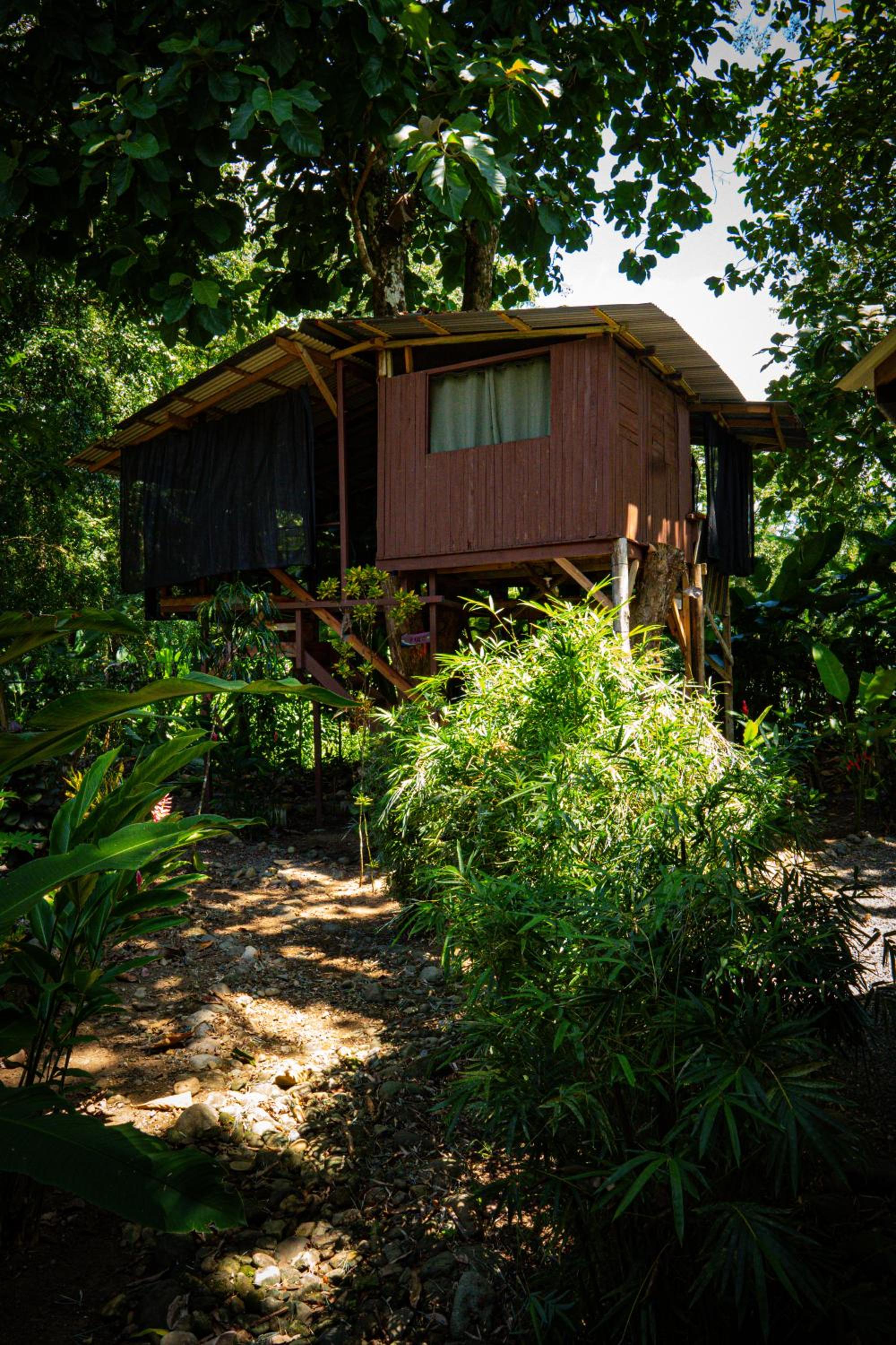 Flutterby House Hostel