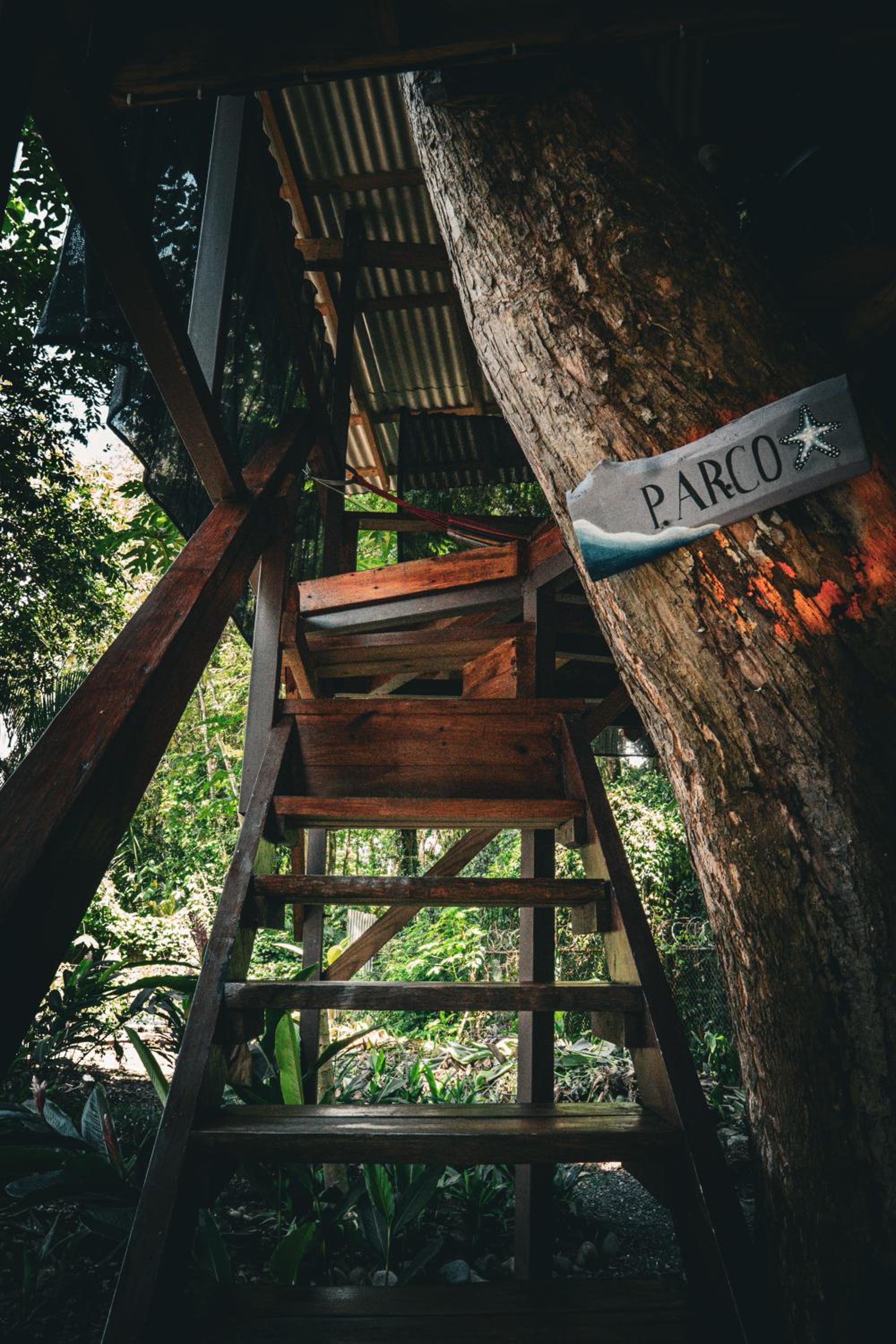 Flutterby House Hostel
