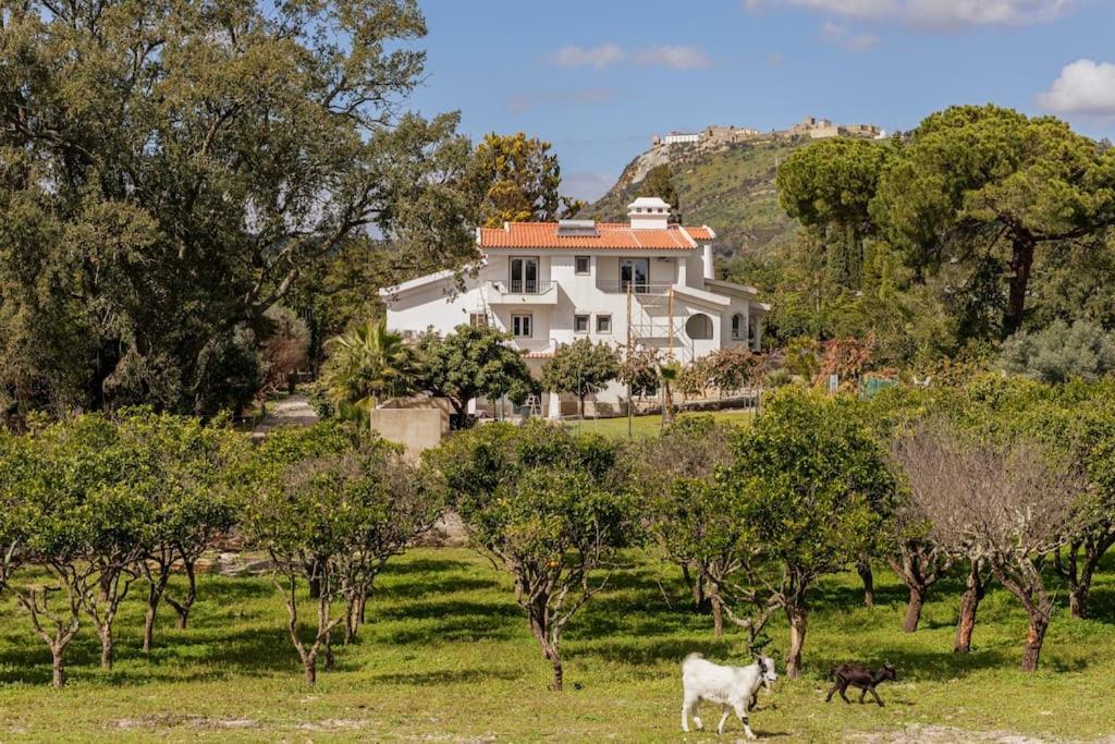 Photo 32