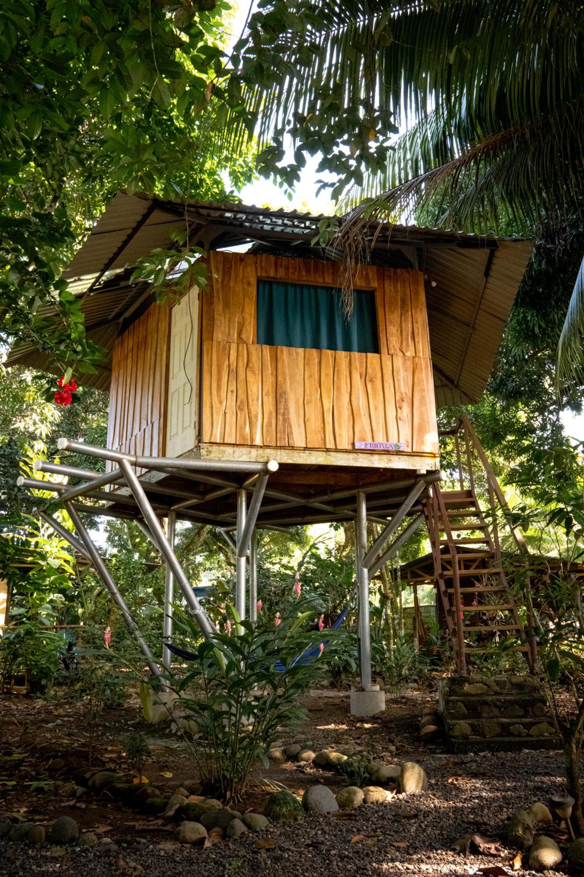 Flutterby House Hostel