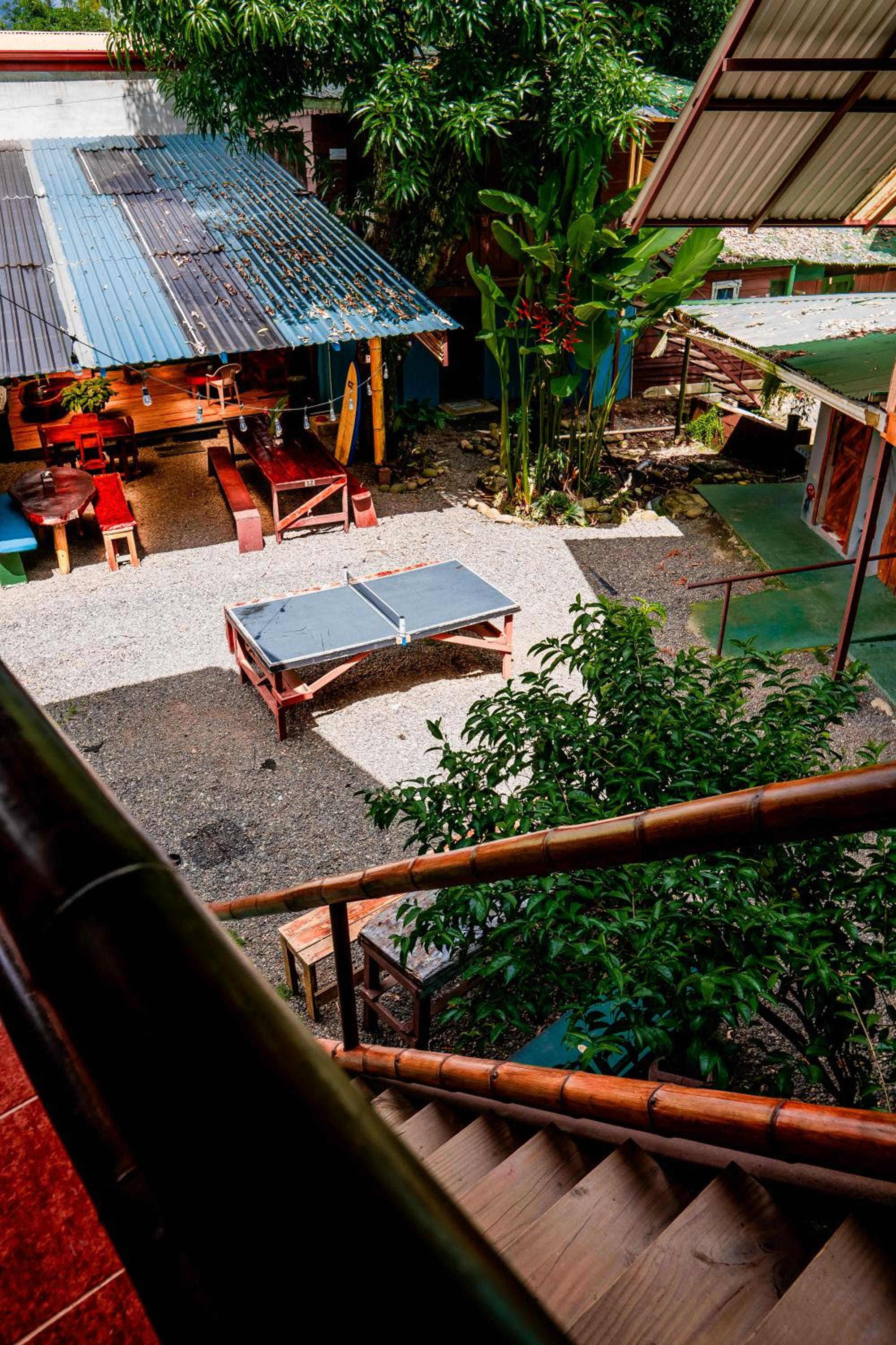 Flutterby House Hostel