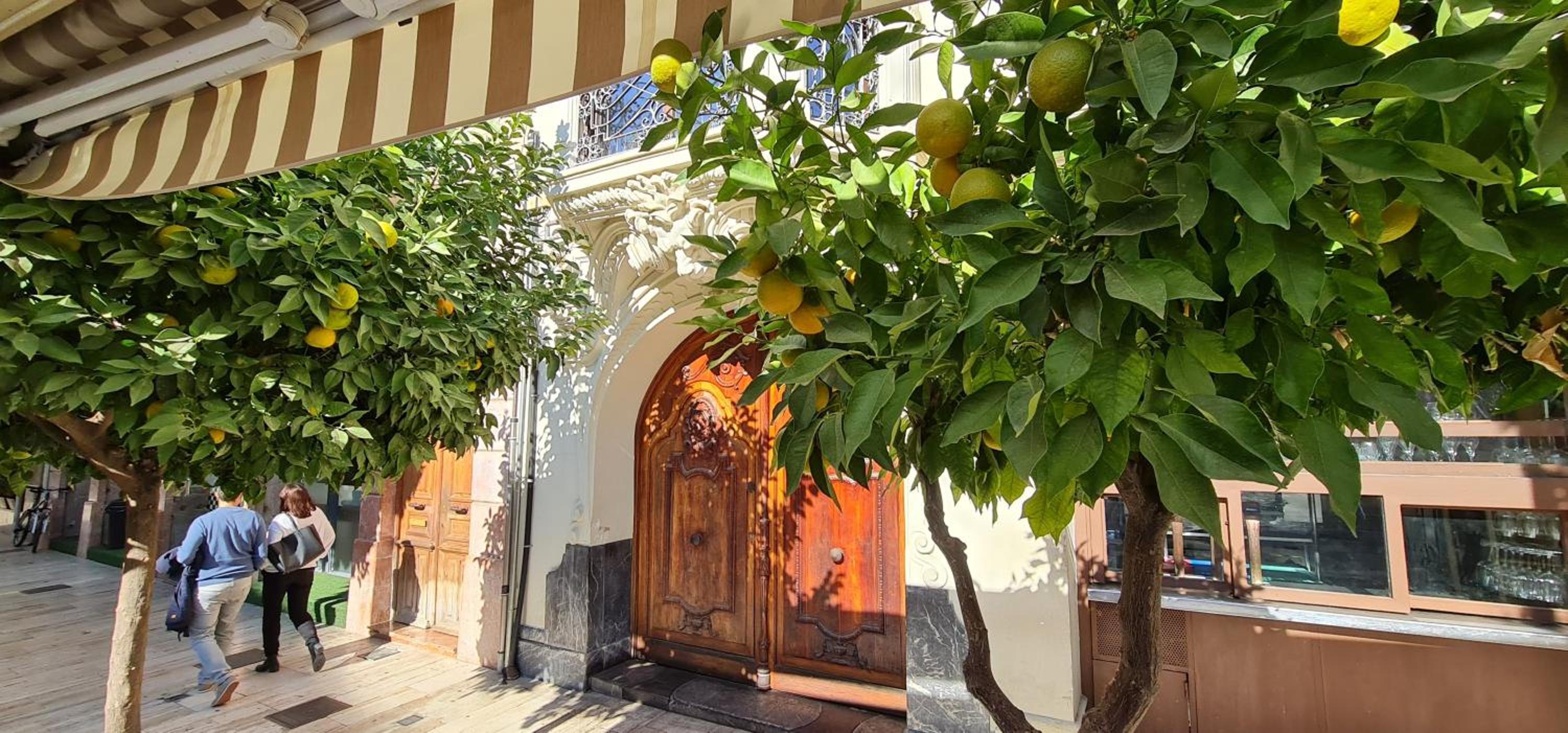 Spacious apartment with pool in the heart of Murcia - 128 m² view 4