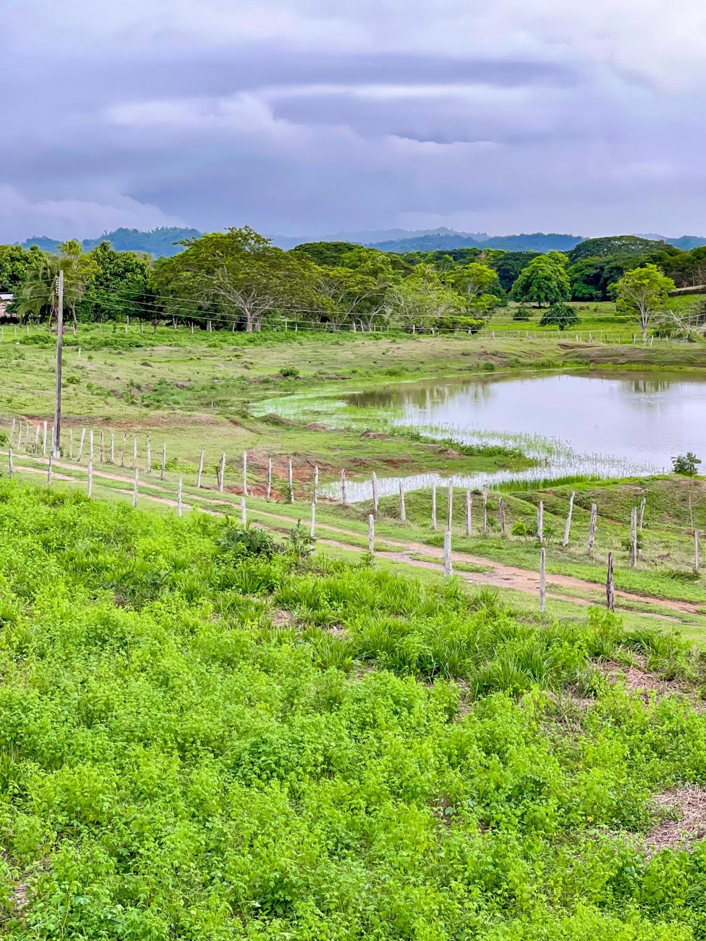 Mirador del lago bloque E