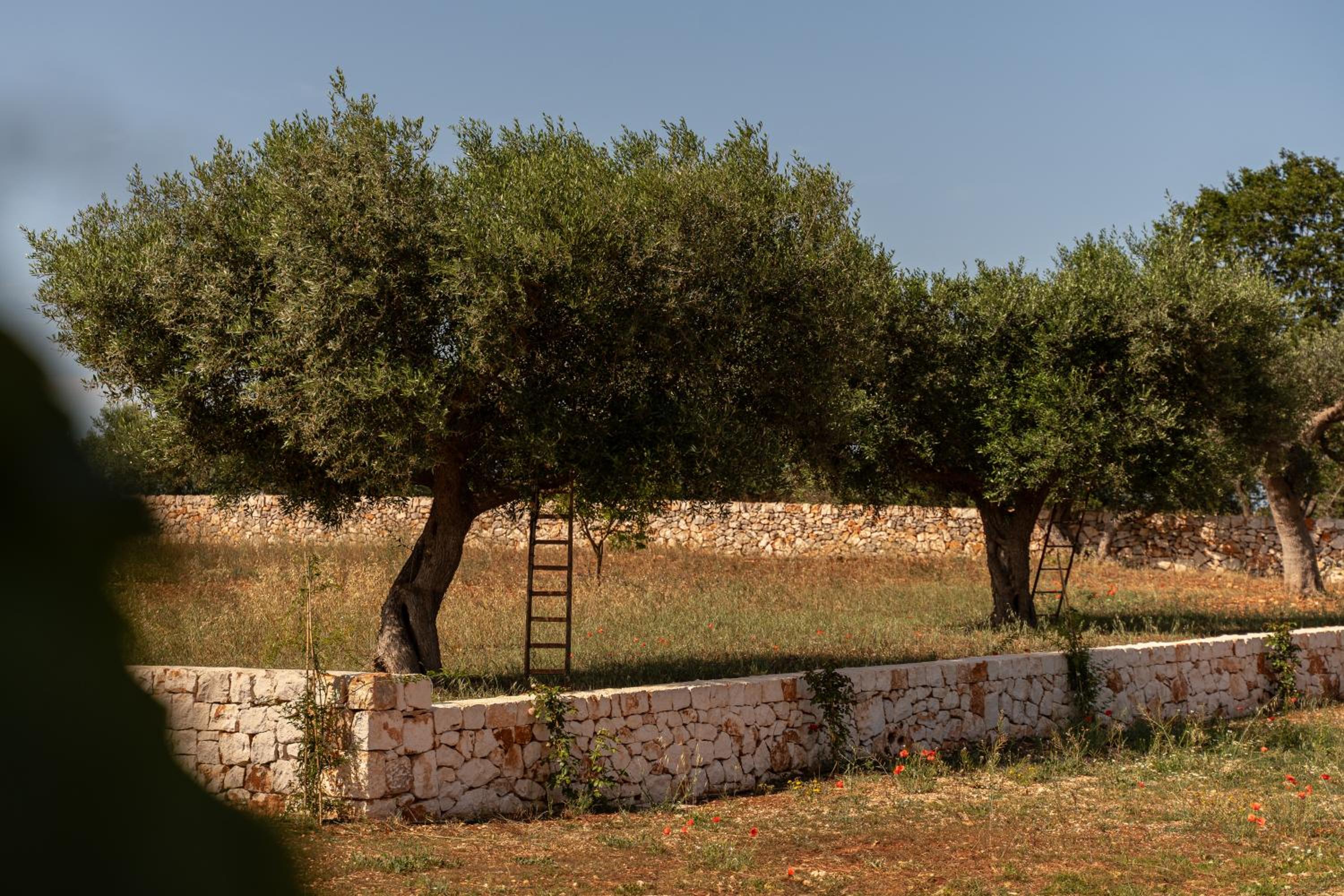 Trulli Kalimera