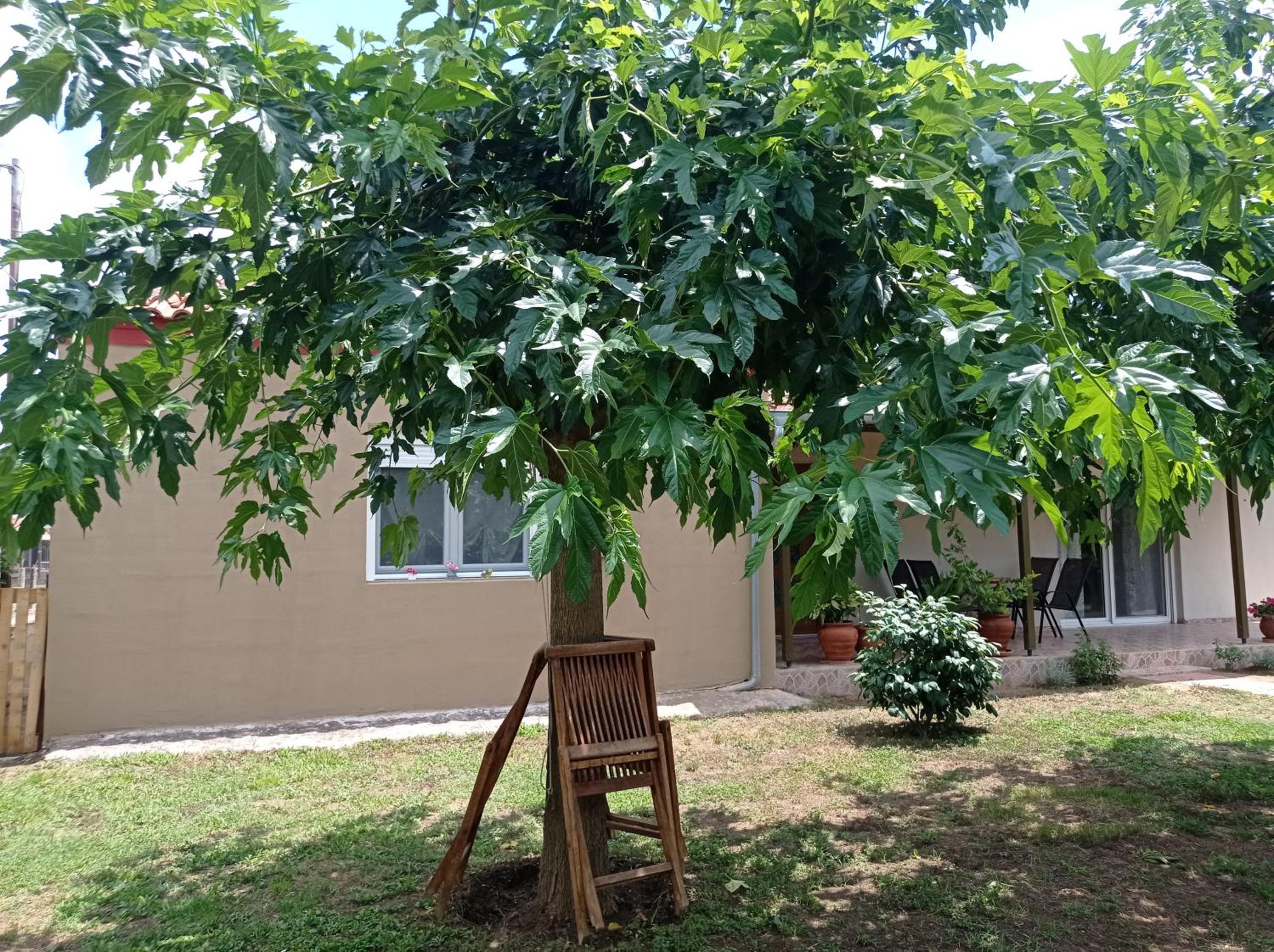 Village Nest