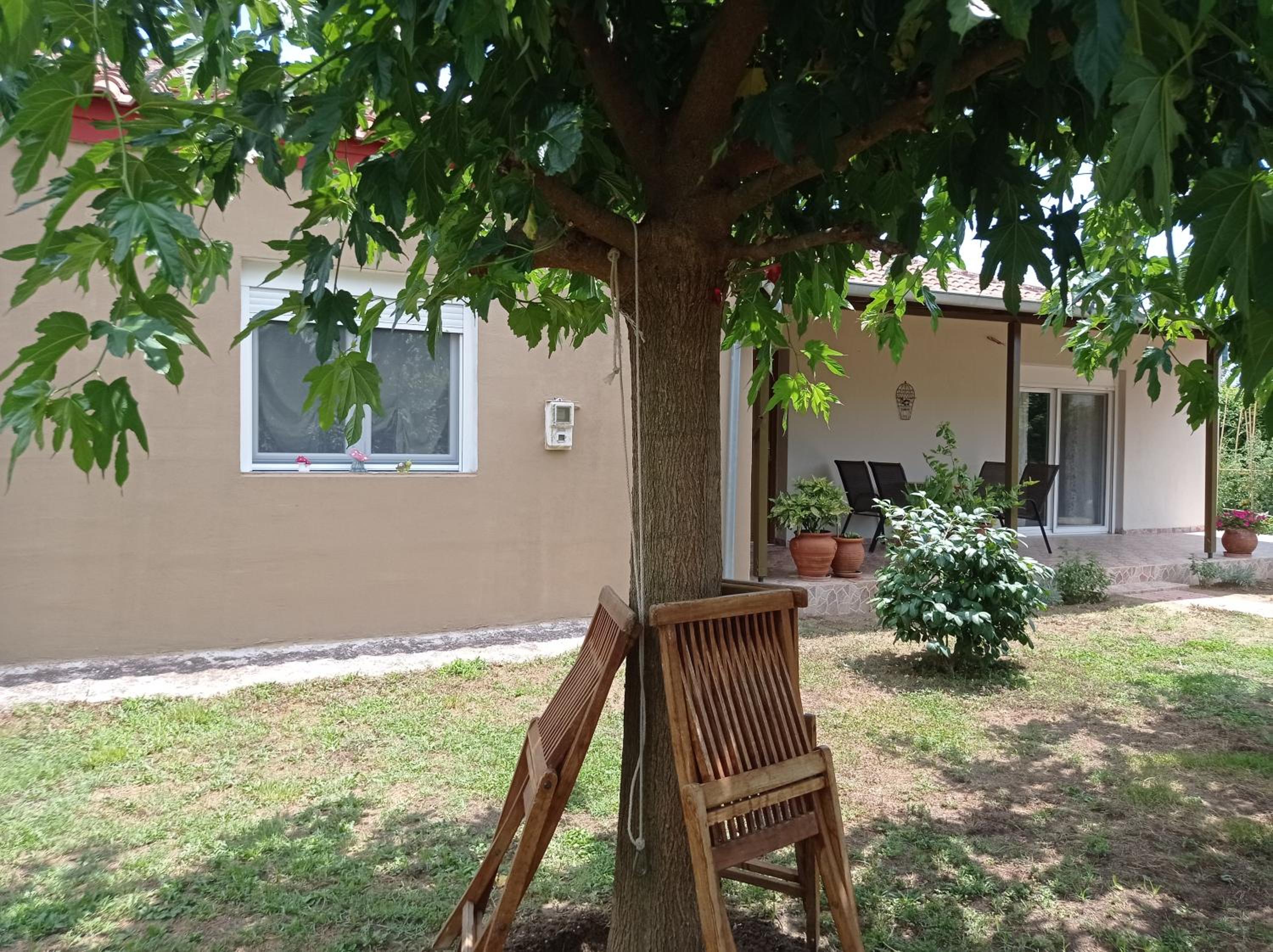 Village Nest