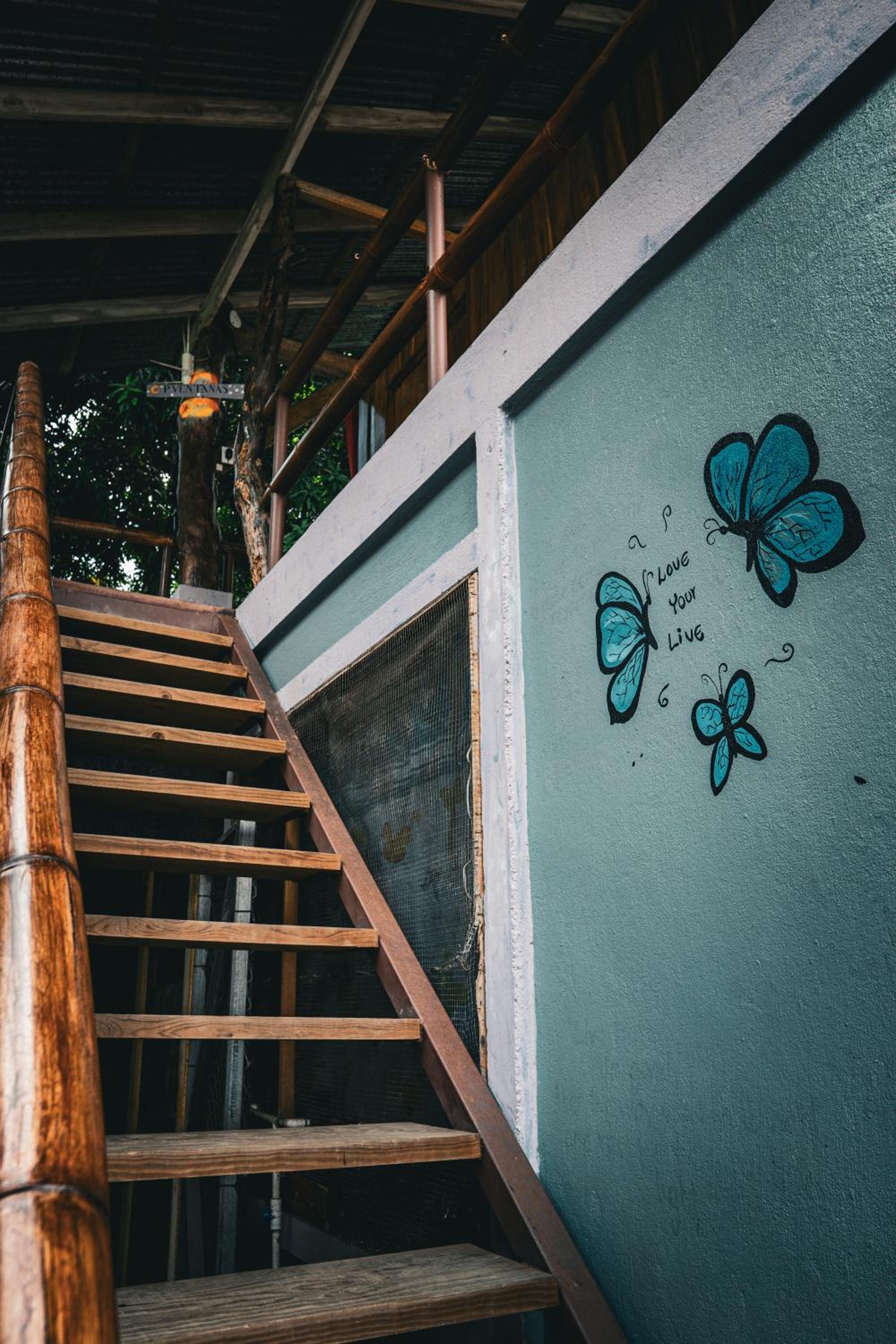 Flutterby House Hostel