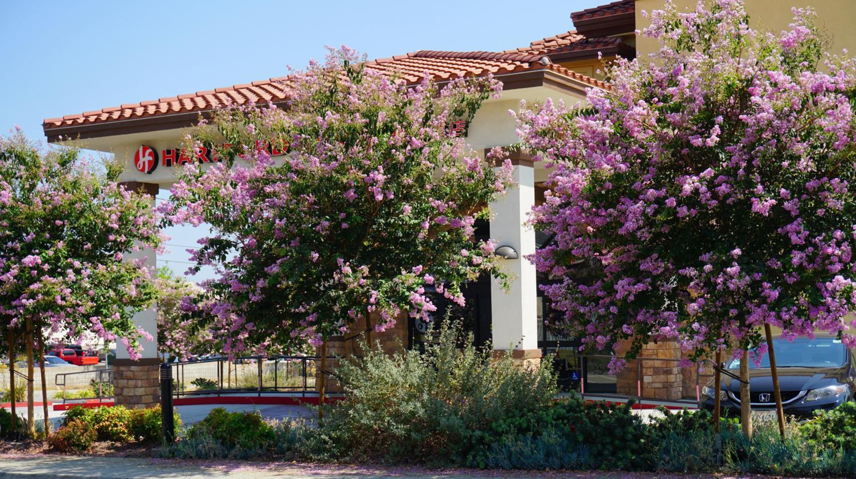 Rosemead Vacations - Hartford Hotel Best Western Signature Collection - Property Image 5