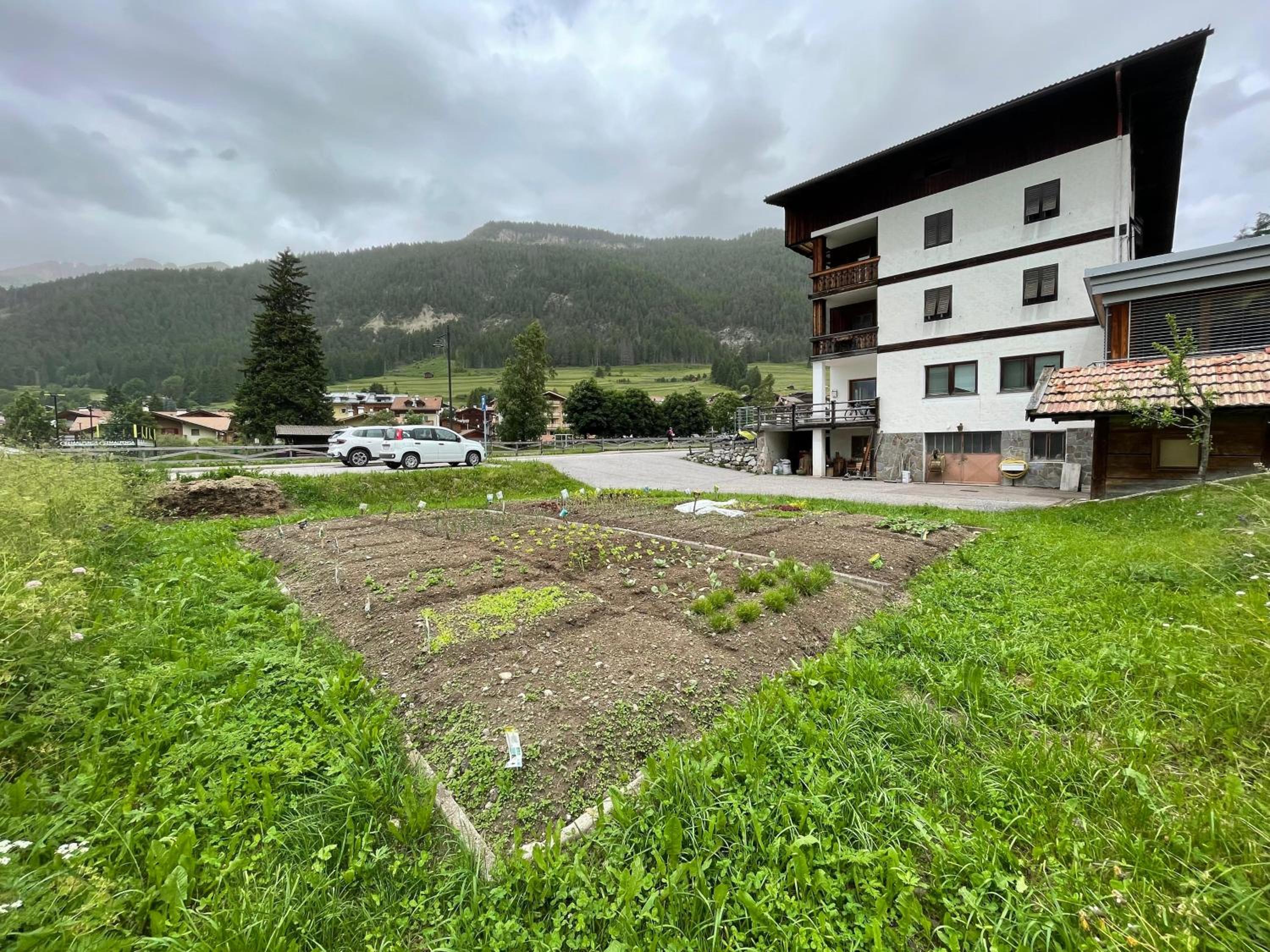 Appartamenti Terme Viola view 2