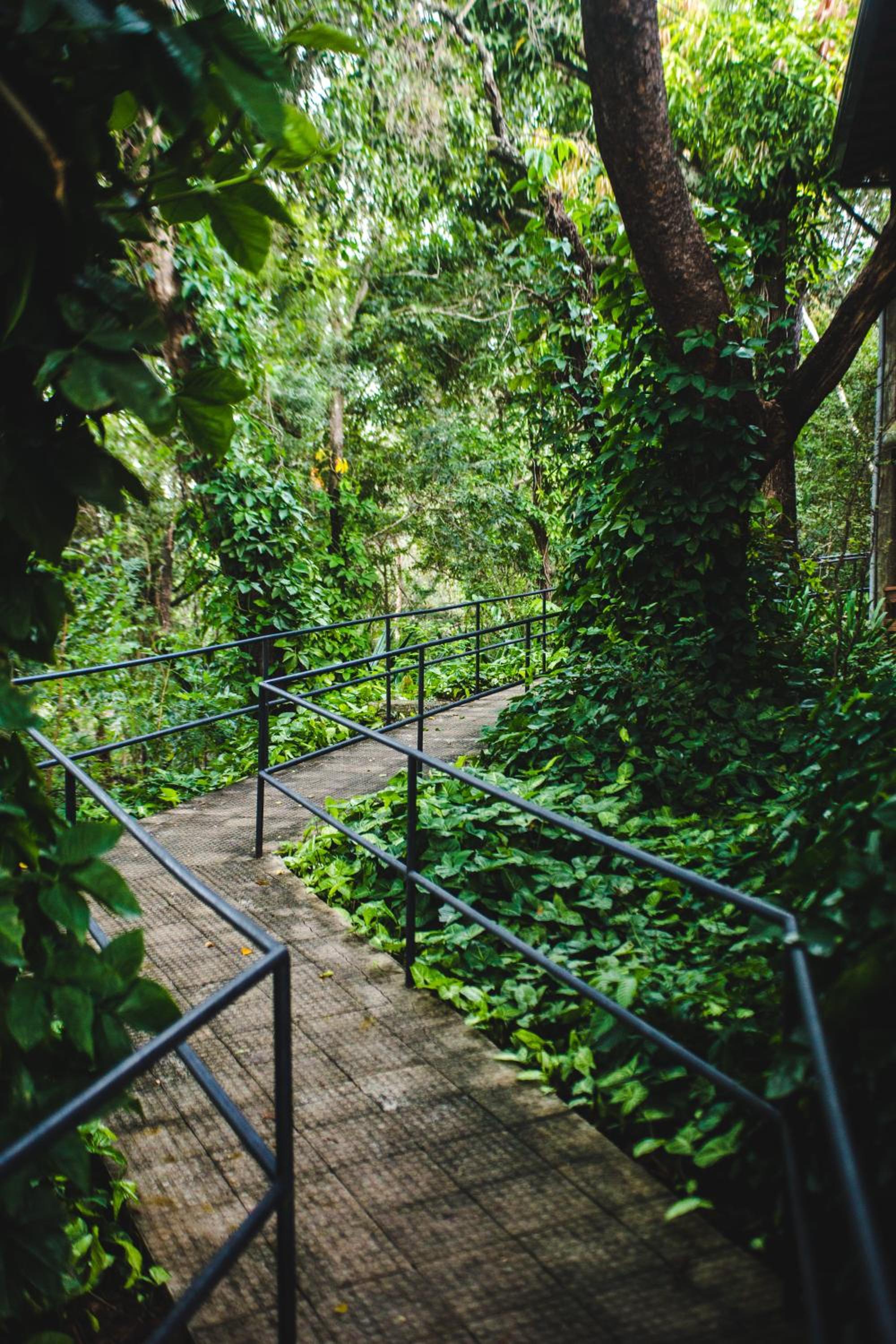 Pousada Fazenda Monjolos