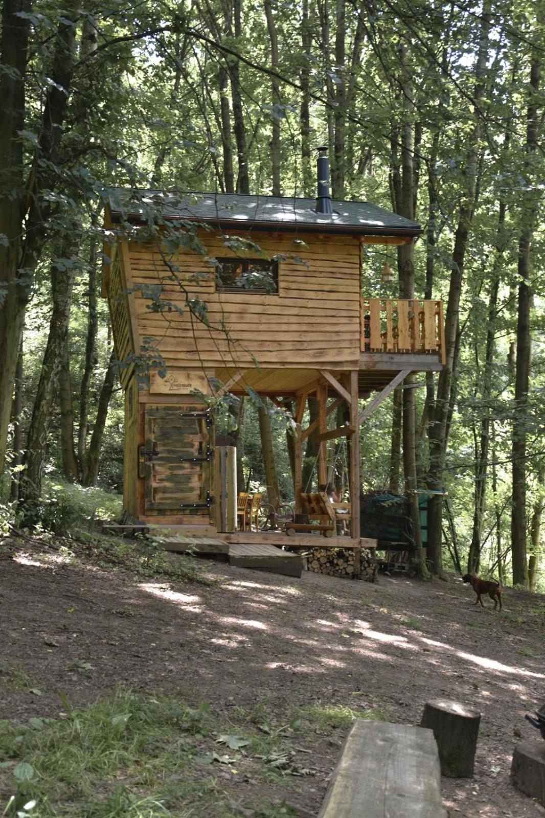 Treehouse Velké Losiny