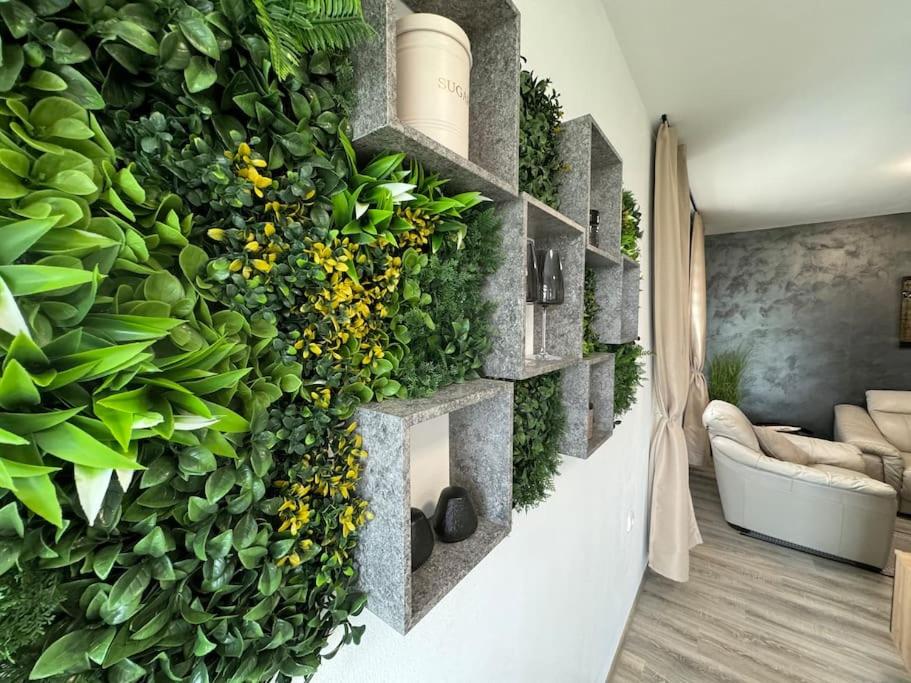 Apartmán MICO