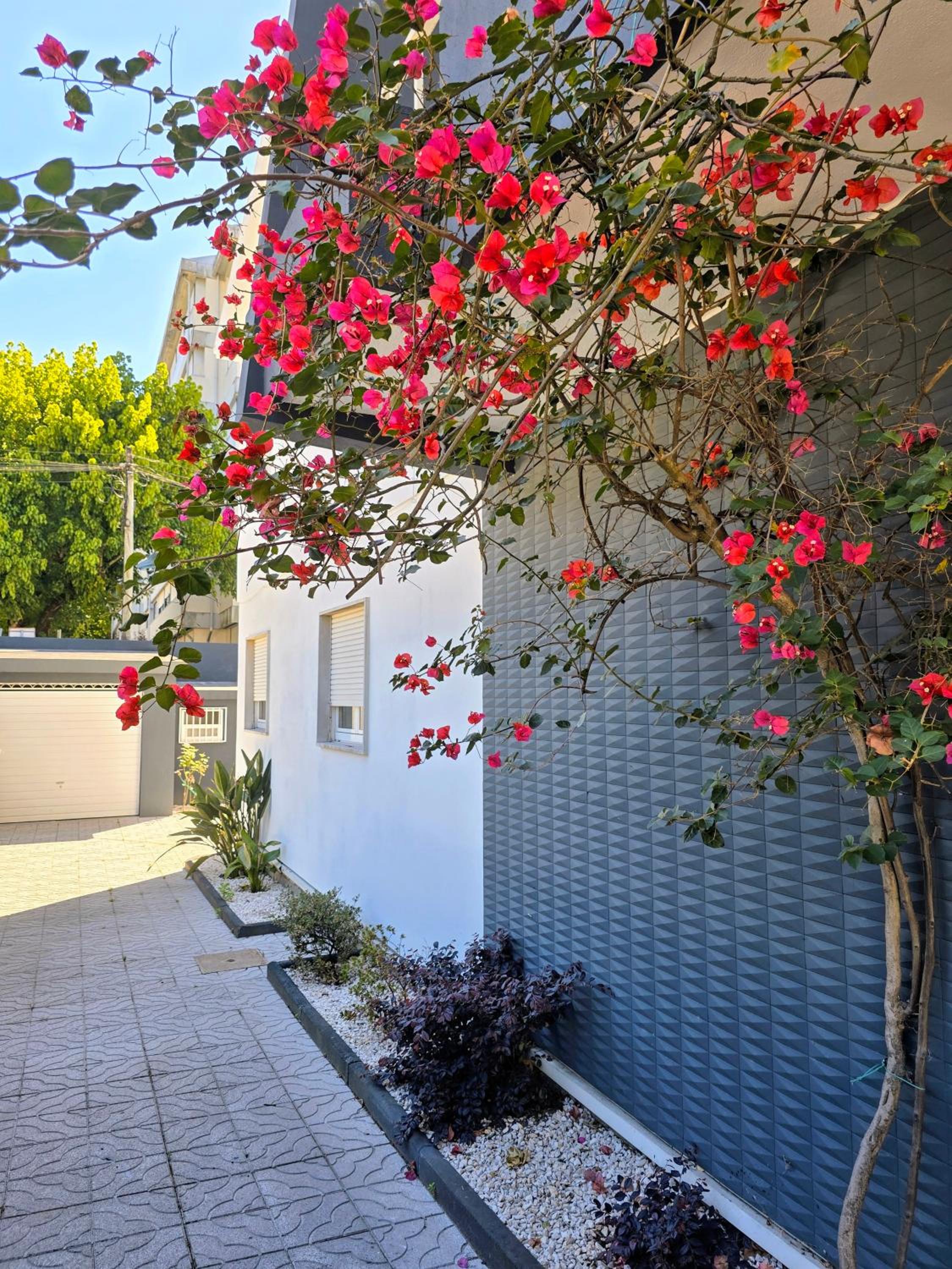 Casa da Ana