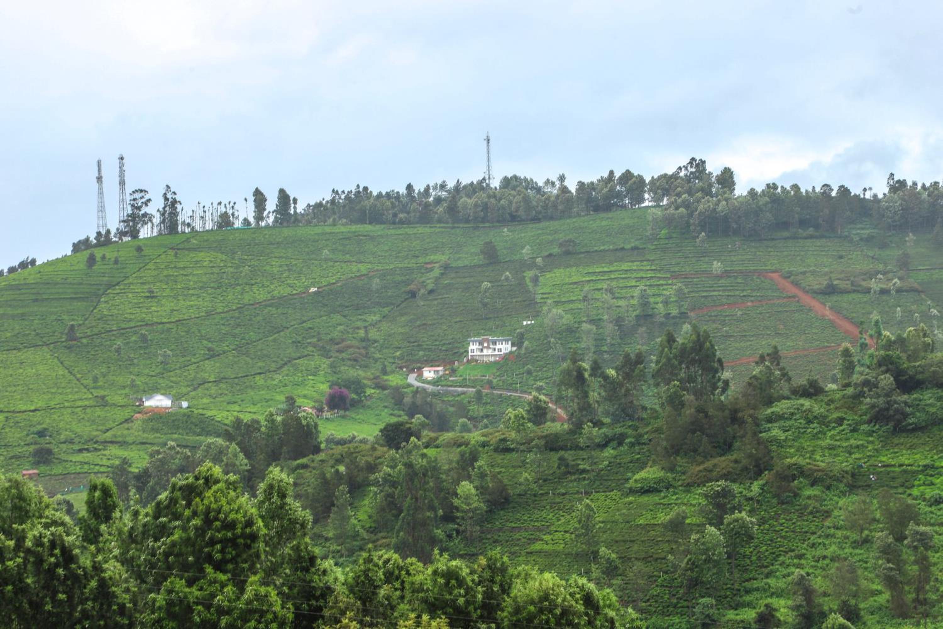 Heavenly Hills, Kotagiri view 3