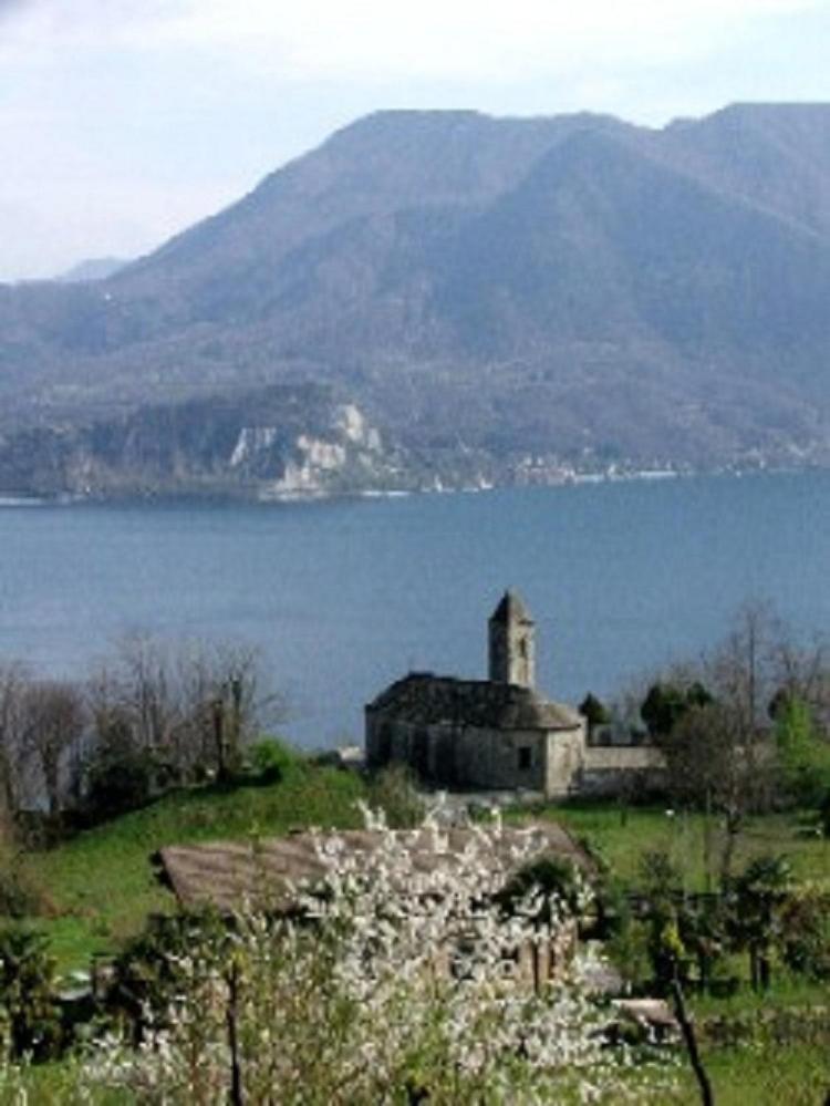 Residenza Le Camelie