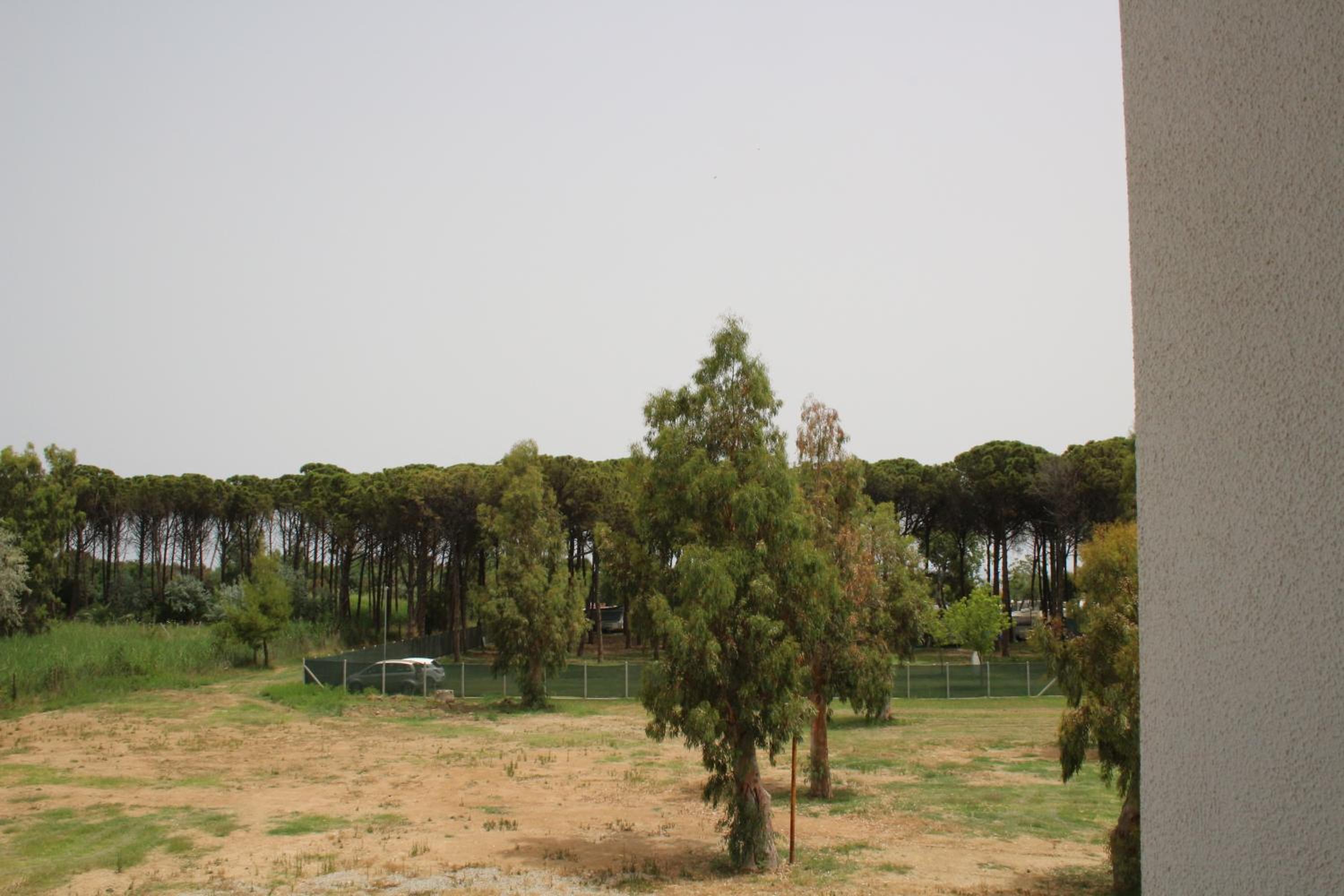 Levante