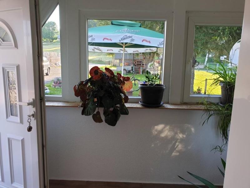 The Secret Garden Retreat view 2