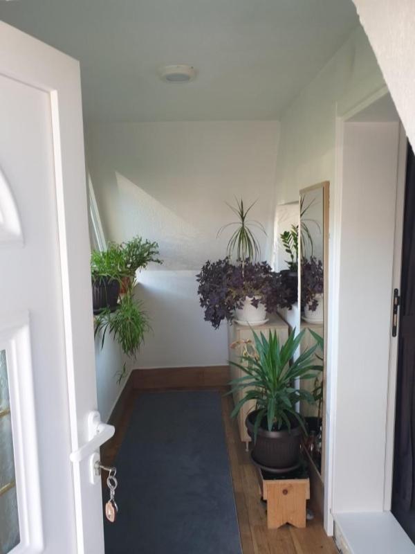 The Secret Garden Retreat view 3