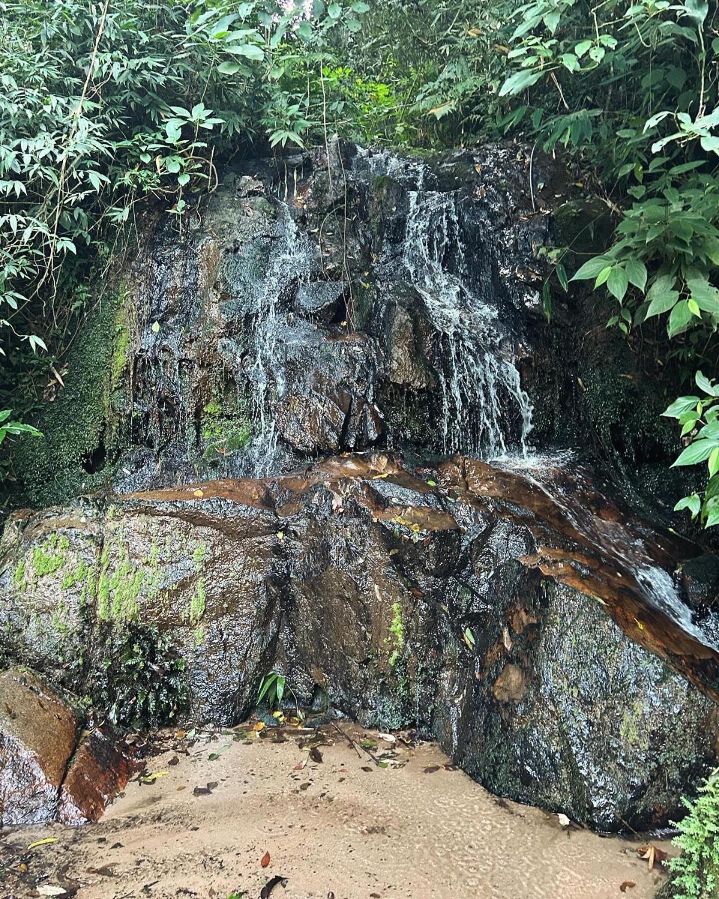 Chalé aconchegante em São Roque