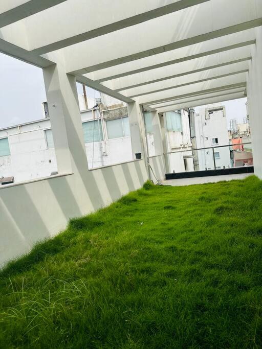 roof