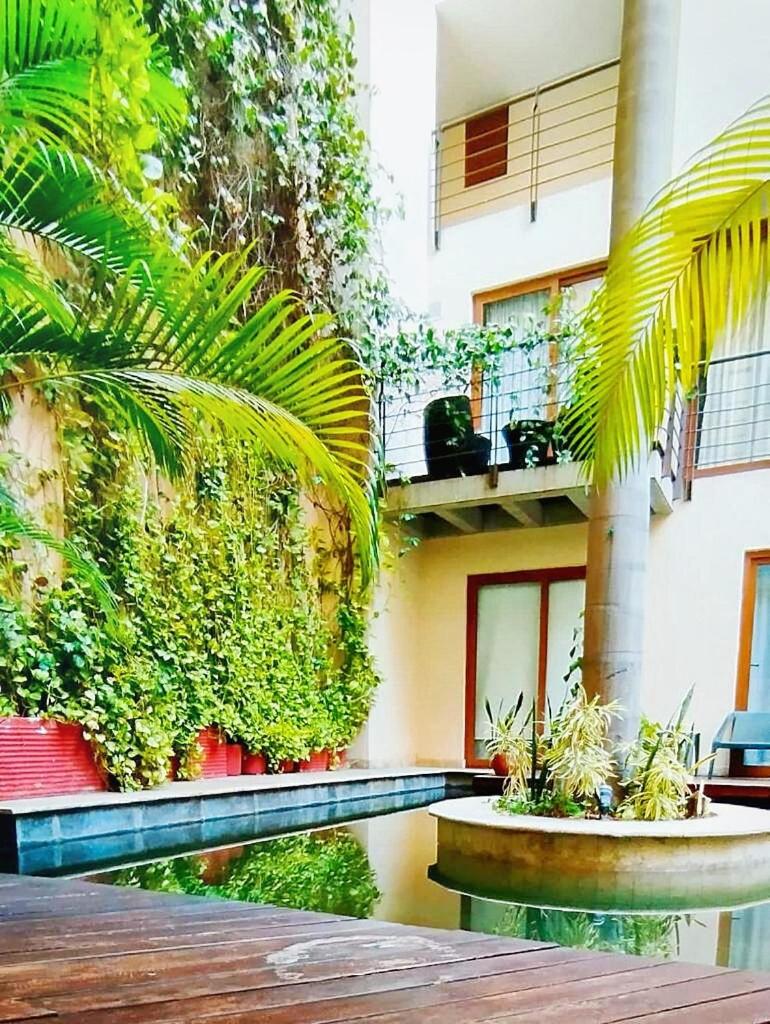 Apto Lujo 2Bd y Jacuzzi privado en pleno centro