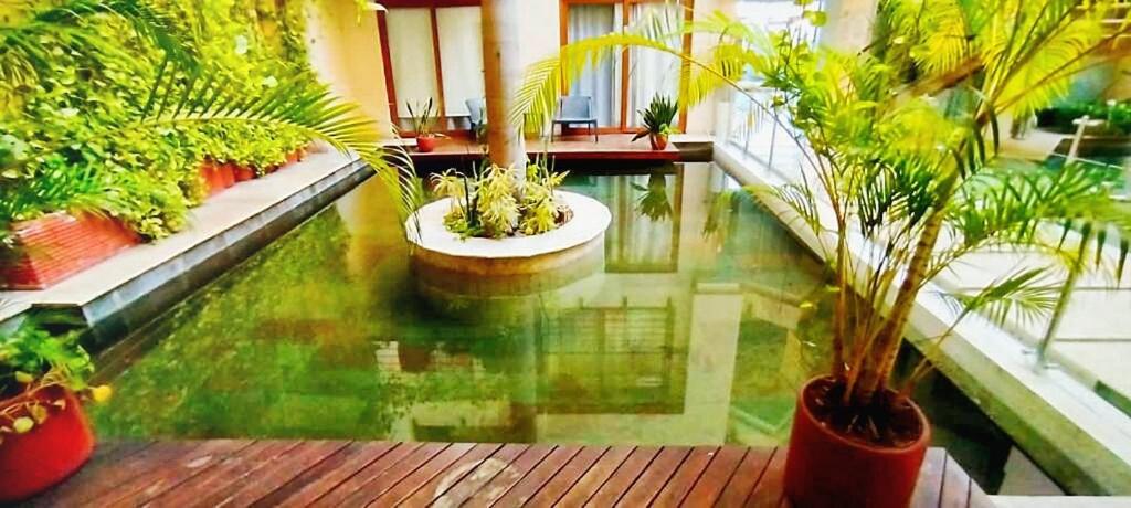 Apto Lujo 2Bd y Jacuzzi privado en pleno centro