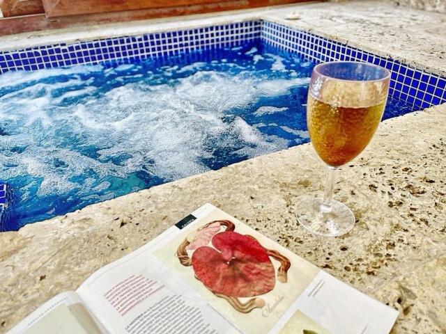 Apto Lujo 2Bd y Jacuzzi privado en pleno centro