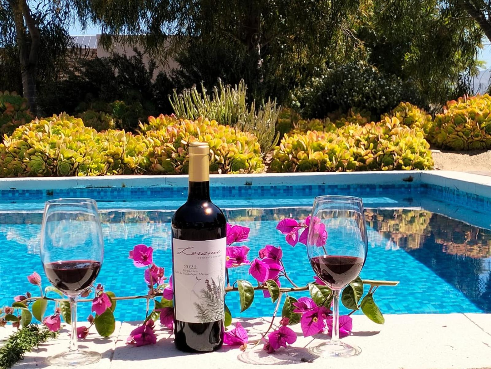Ensenada Vacations - Quinta Lorame Departamento Cabernet - Property Image 6