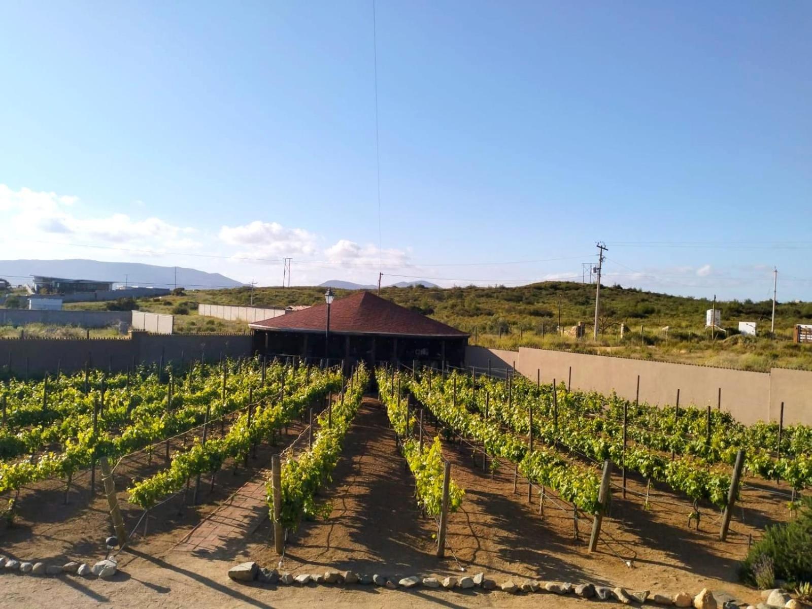Ensenada Vacations - Quinta Lorame Departamento Cabernet - Property Image 7