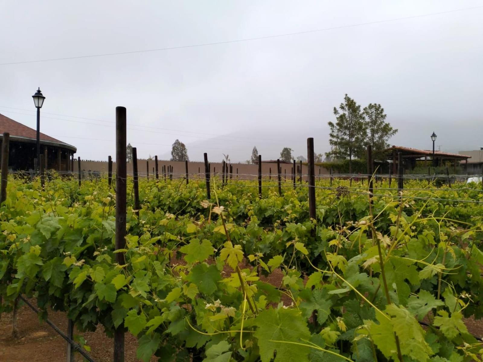 Ensenada Vacations - Quinta Lorame Departamento Cabernet - Property Image 8