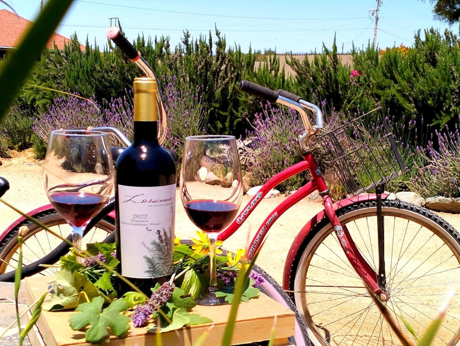 Ensenada Vacations - Quinta Lorame Departamento Cabernet - Property Image 9