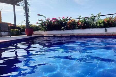 NEW Ocean Front View Luxury Triplex w jacuzzi 2BR