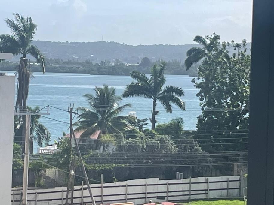 Paradise Bay Luxury Condominium - Anthony's place view 3